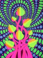 1262263191_psychedelic20mushrooms.jpg
