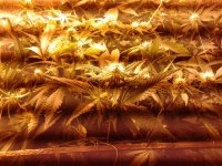 20120720_123342.jpg