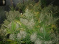 20120823_222814.jpg