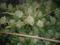 20120916_001026.jpg