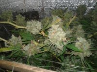20120916_001058.jpg