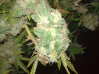 20120922_185456.jpg