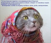 59199471.p.500.500.0.jpg
