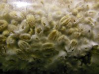 DSCN1534.JPG