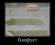 5578975_blefuet.jpg