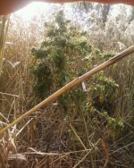 Изображение 036.jpg