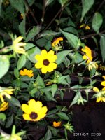 IMG-20190801-WA0061.jpg