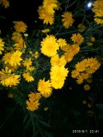 IMG-20190801-WA0060.jpg