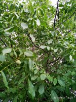 IMG-20190802-WA0067.jpg