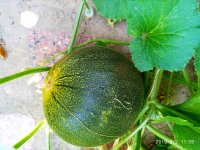IMG-20190802-WA0051.jpg
