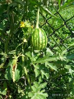 IMG-20190802-WA0045.jpg