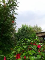 IMG-20190802-WA0072.jpg