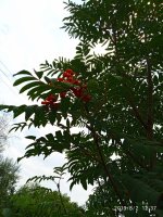 IMG-20190802-WA0071.jpg
