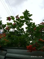 IMG-20190802-WA0073.jpg