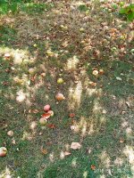 IMG-20190802-WA0007.jpg