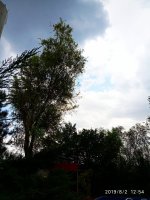 IMG-20190802-WA0012.jpg