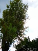 IMG-20190802-WA0011.jpg
