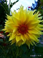 IMG-20190802-WA0115.jpg