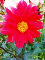 IMG-20190802-WA0114.jpg