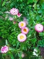 IMG-20190802-WA0110.jpg