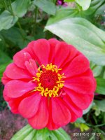 IMG-20190802-WA0112.jpg