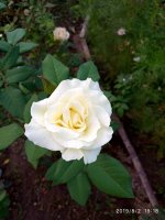 IMG-20190802-WA0099.jpg