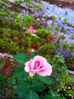 IMG-20190802-WA0097.jpg