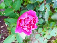 IMG-20190802-WA0096.jpg