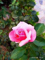 IMG-20190802-WA0088.jpg
