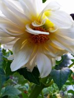 IMG-20190802-WA0087.jpg