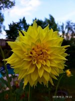 IMG-20190802-WA0085.jpg