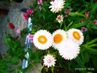IMG-20190802-WA0086.jpg