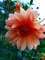 IMG-20190802-WA0083.jpg