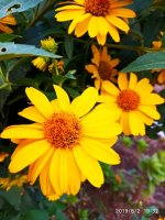 IMG-20190802-WA0081.jpg