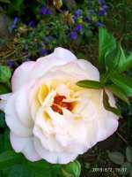 IMG-20190802-WA0080.jpg