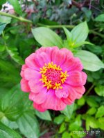 IMG-20190802-WA0124.jpg