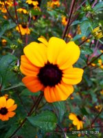 IMG-20190802-WA0121.jpg