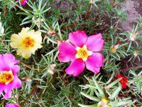 IMG-20190802-WA0058.jpg