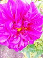 IMG-20190802-WA0047.jpg