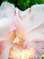 IMG-20190802-WA0046.jpg