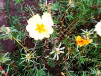 IMG-20190802-WA0043.jpg