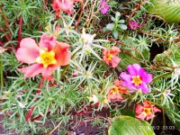 IMG-20190802-WA0019.jpg