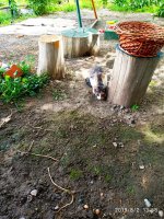 IMG-20190802-WA0142.jpg