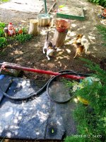 IMG-20190802-WA0138.jpg