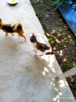 IMG-20190802-WA0141.jpg