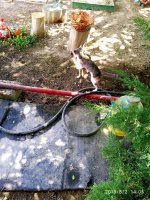 IMG-20190802-WA0143.jpg