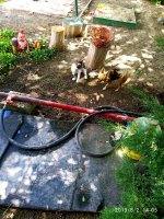 IMG-20190802-WA0144.jpg