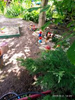 IMG-20190802-WA0149.jpg