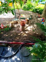 IMG-20190802-WA0148.jpg