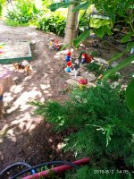 IMG-20190802-WA0151.jpg